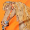 Original Design H Carre Mon Petit Cheval Mexicain Silk Scarf