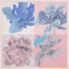 Original Design Etude pour un Iris Arc-en-ciel Silk Scarf